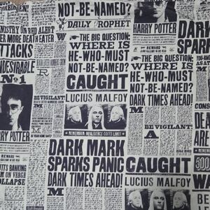 Pottery Barn Teen Harry Potter FULL Bedsheets Set